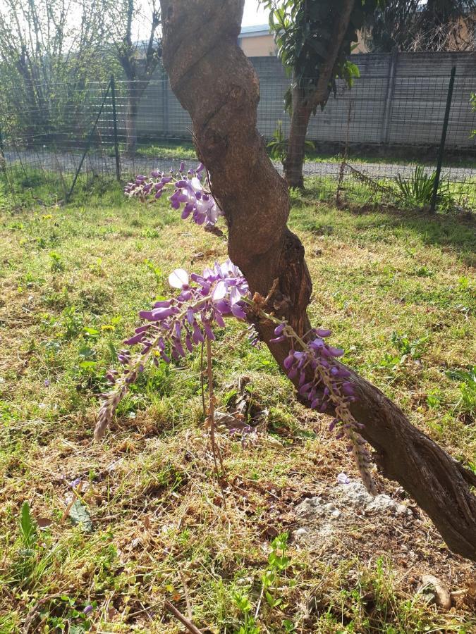 Appartamento Cascina Cortazza Cremona Esterno foto