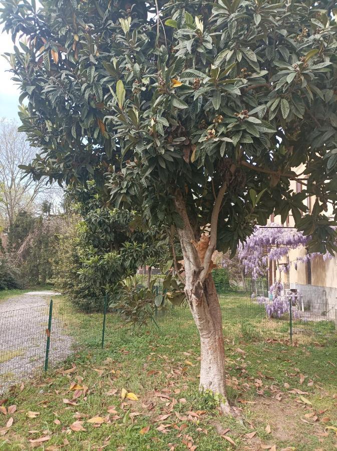Appartamento Cascina Cortazza Cremona Esterno foto